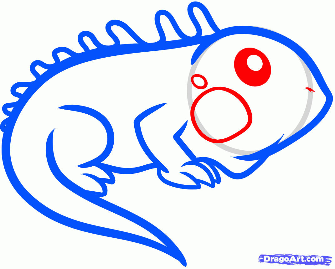 1070x859 How To Draw An Iguana For Kids, Step