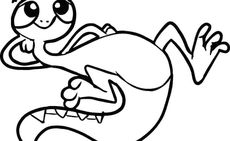 800x491 Iguana Color Sesame Street Pictures Color