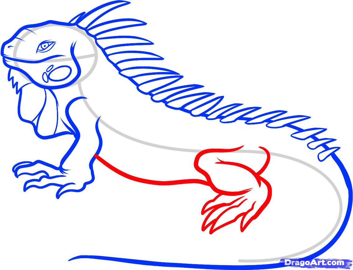 1135x870 Draw An Iguana, Step