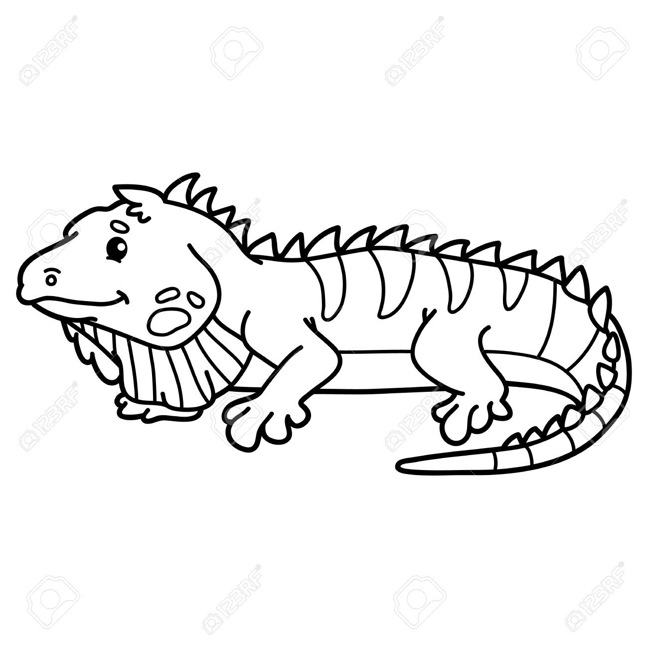 1300x1300 drawing iguana iguana para colorear