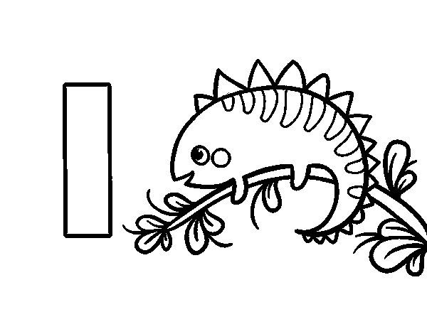 600x470 How To Draw An Iguana For Kids