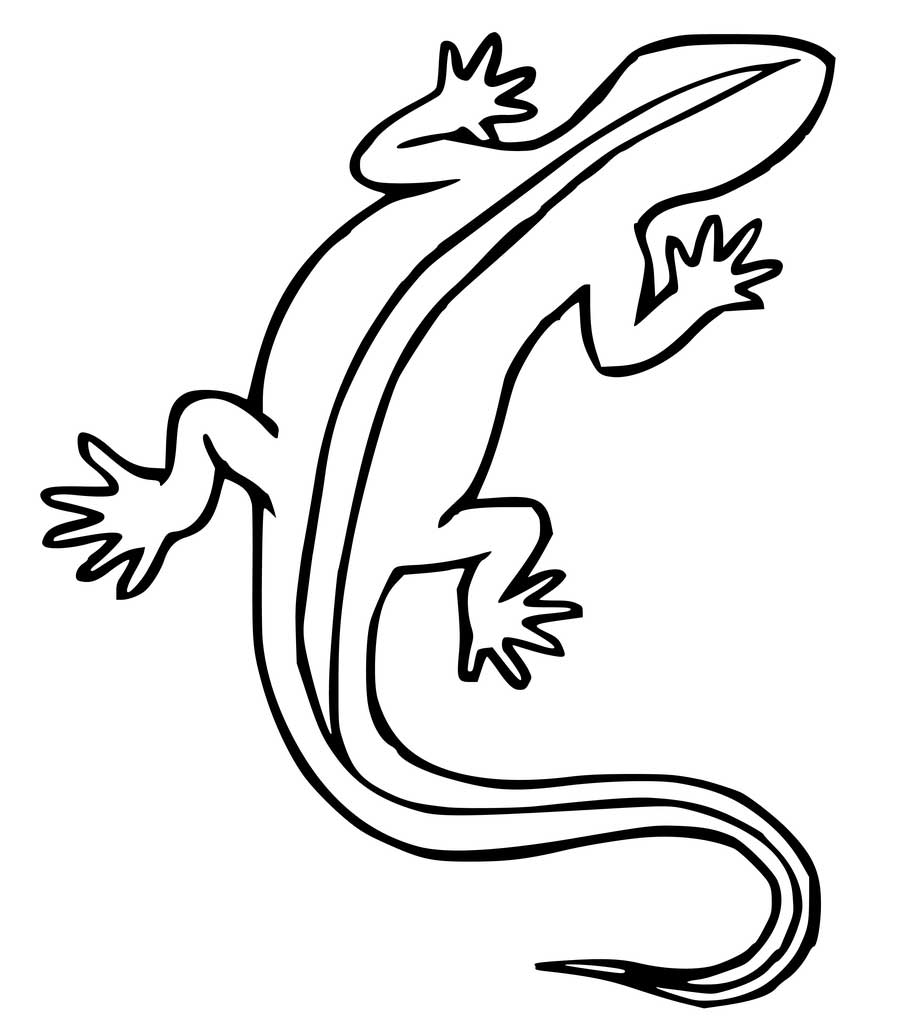 900x1024 Iguana Line Drawing Clip Art Free