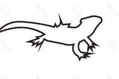 236x157 Bearded Dragon Drawing Easy Iguana Realistic Pages Head Iydunetwork