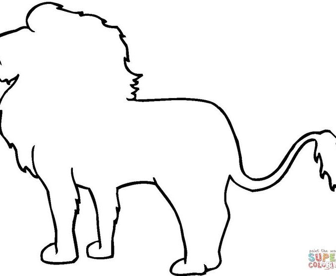 678x557 Animal Outline Drawings Free Download Clip Art