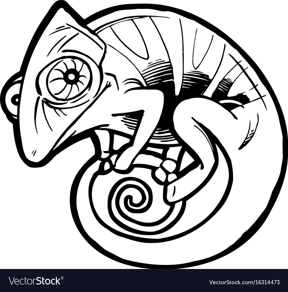 1000x1014 Chameleon Drawing Template Step