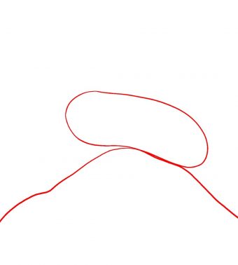 340x378 How To Draw An Iguana