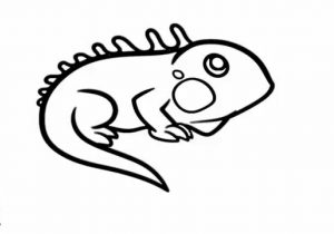 300x210 Lizard Drawing Outline At Getdrawings Free For Personal Use
