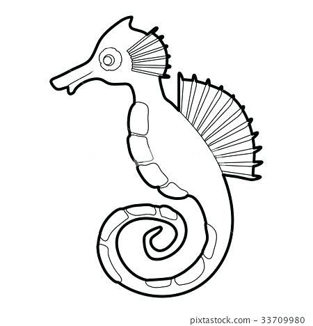 450x468 Outline Of A Seahorse Sea Seahorse Outline Coloring