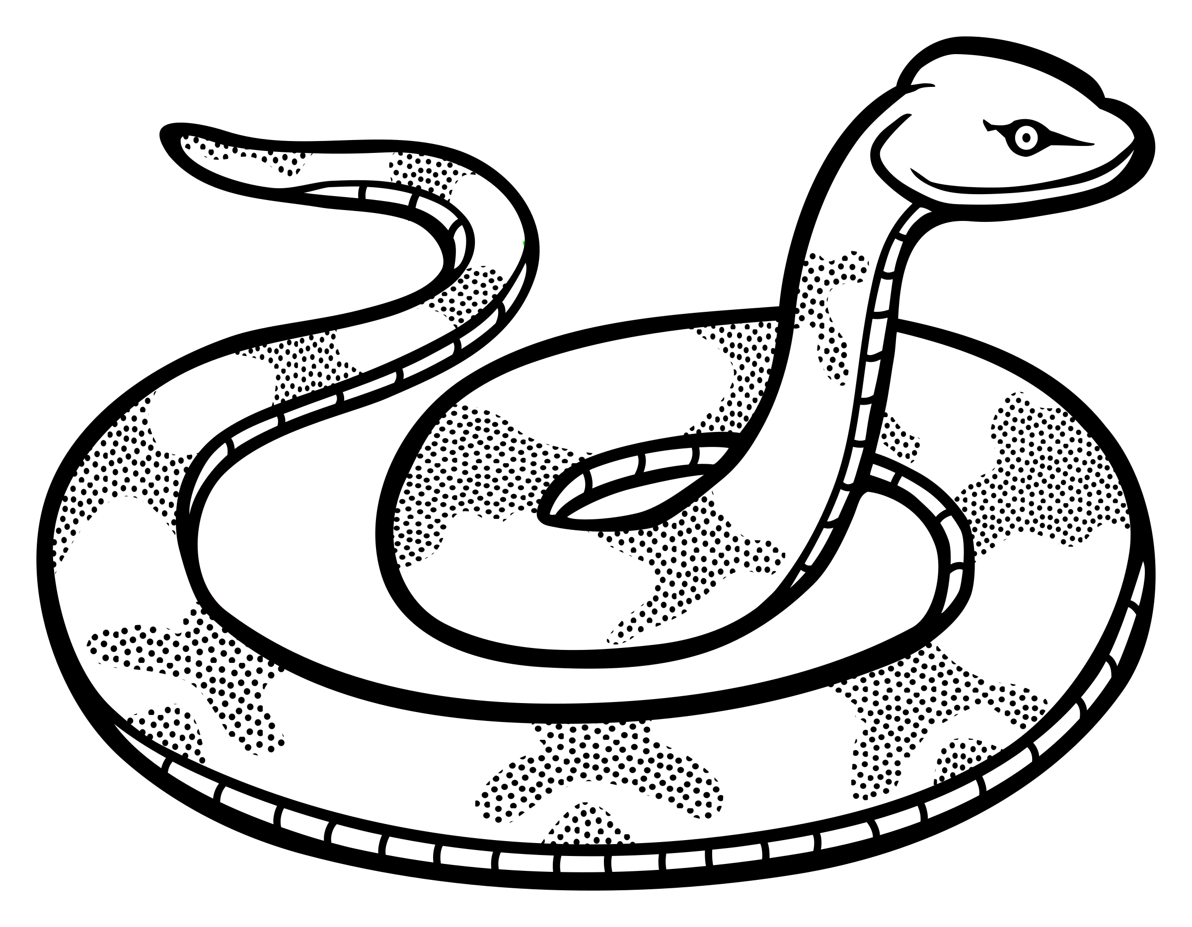 2400x1867 Drawing Snake Outline Huge Freebie! Download For Powerpoint
