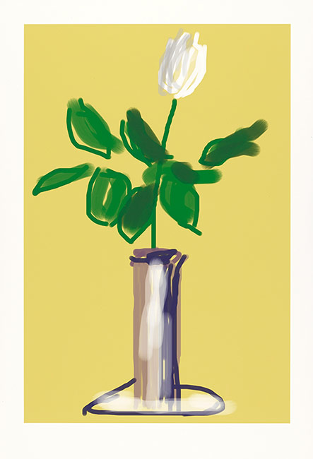 443x650 David Hockney Iphone And Ipad Drawings