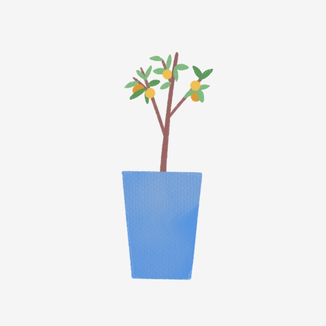640x640 hand drawn small lemon tree in pot, lemon tree, drawing, nature