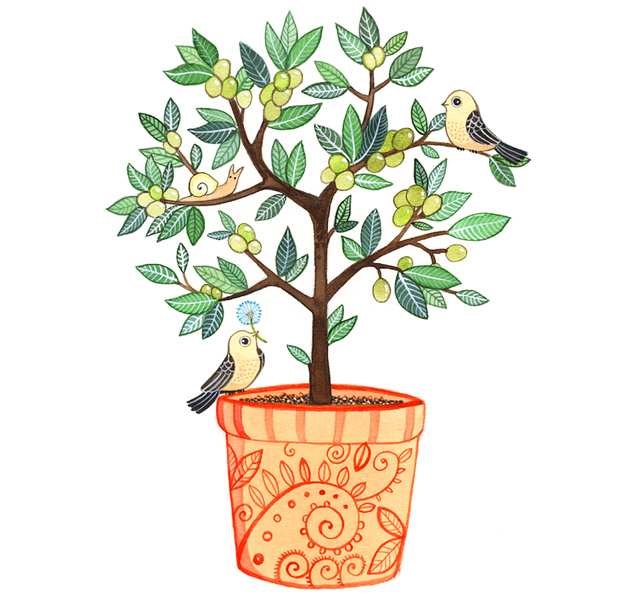 640x600 The World's Most Recently Posted Photos Of Drawing And Olivetree