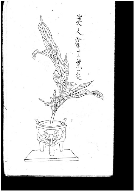 453x640 Christopher At Sogetsu Tokyo