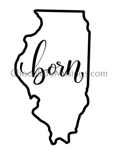 400x518 State Outline