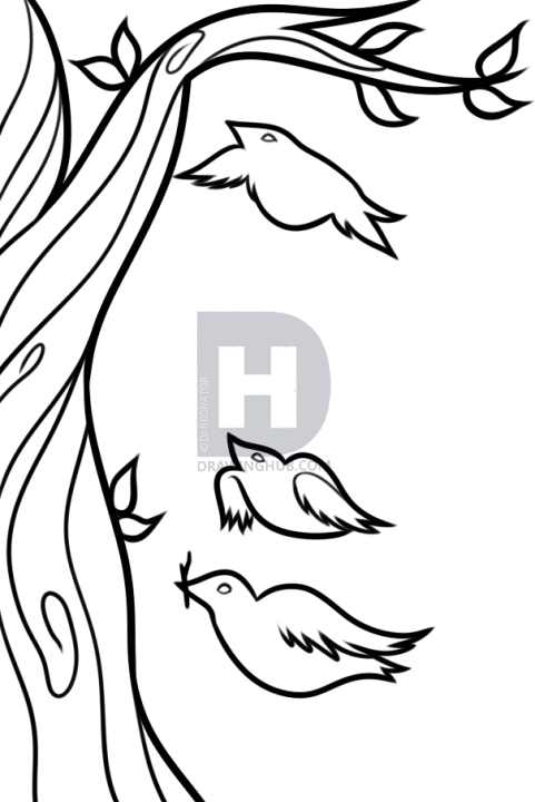 481x720 How To Draw Illusion Art, Step