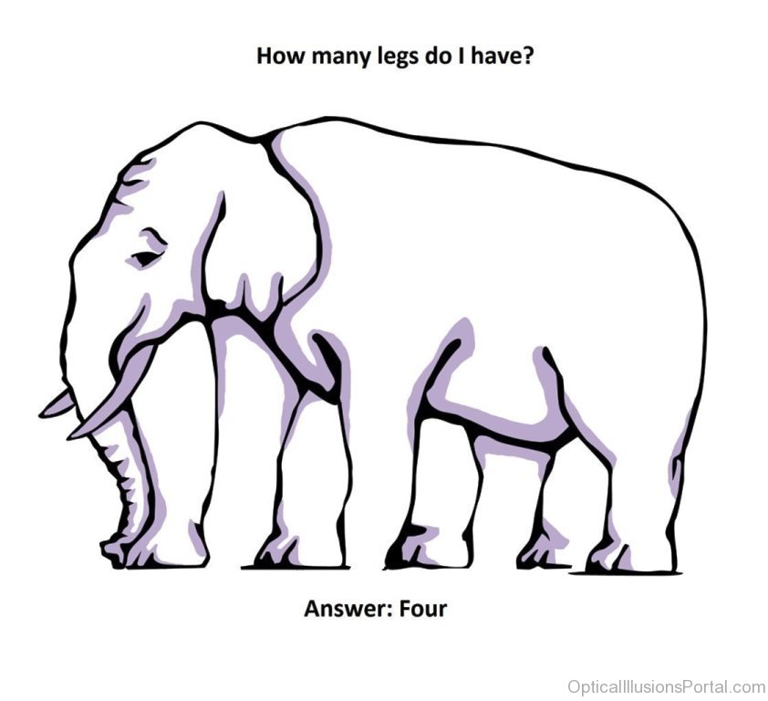 842x768 Cool Kids Optical Illusion