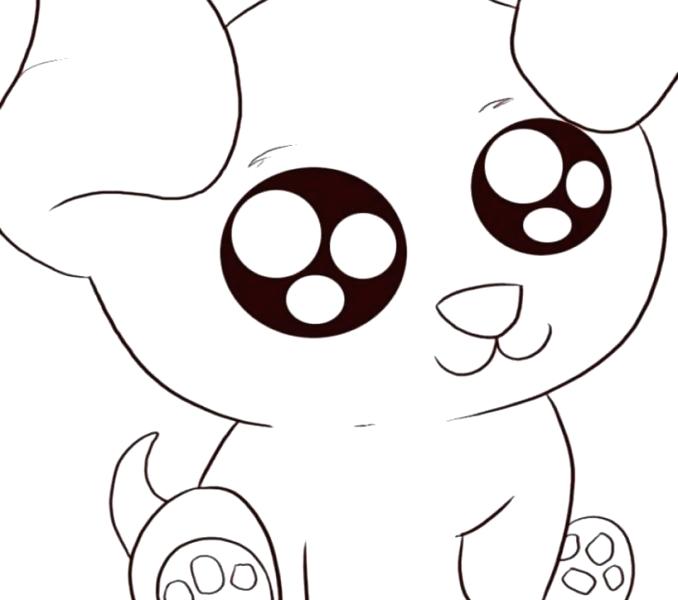 678x600 Easy Cute Drawings Cute Easy Animal Drawing Ideas