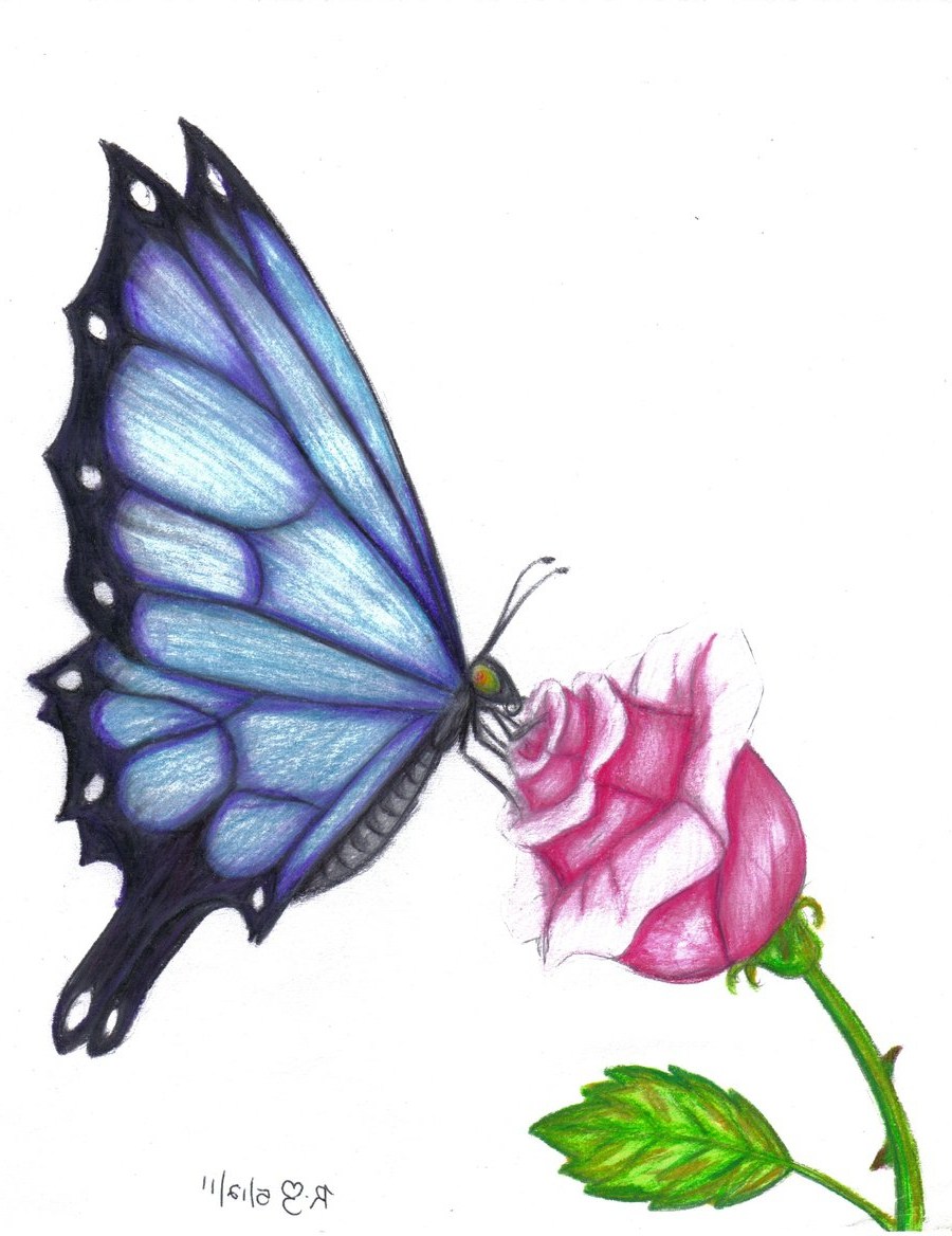 900x1168 Flower Drawing Colour Images