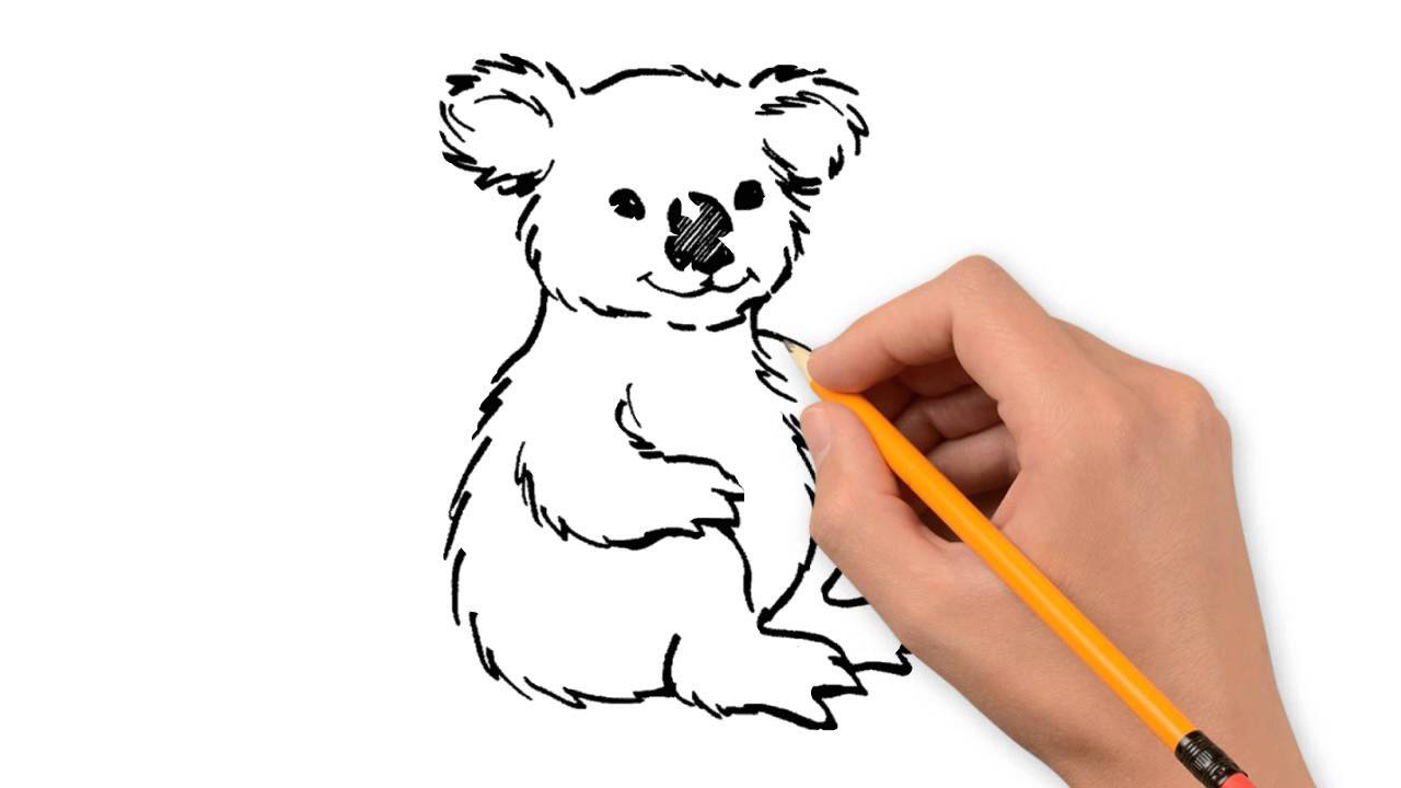 1280x720 Koala Animals Pencil To Draw Step