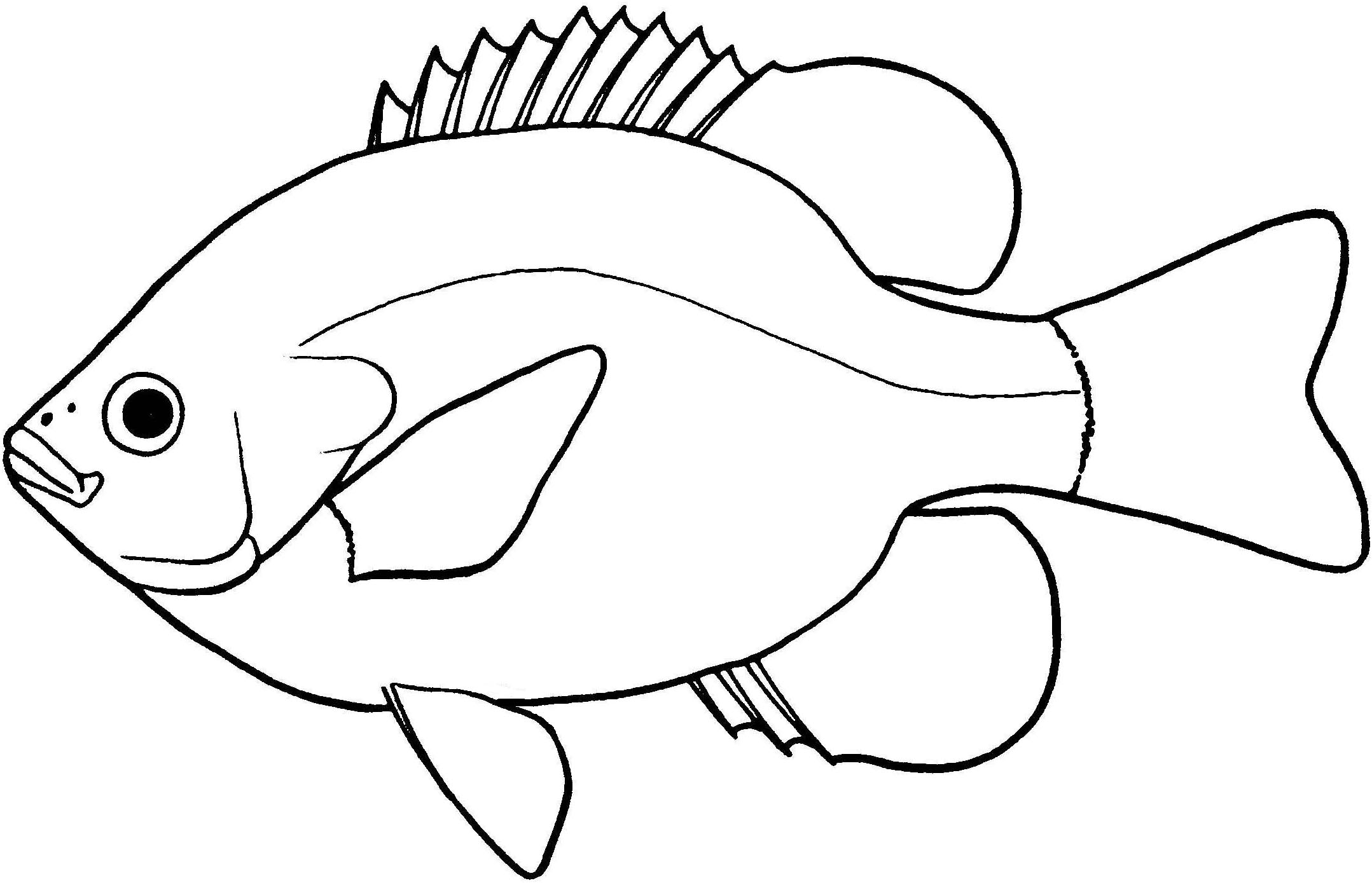 2157x1389 At Fish Pictures Drawings Drawing How To Draw And Colour For Kids
