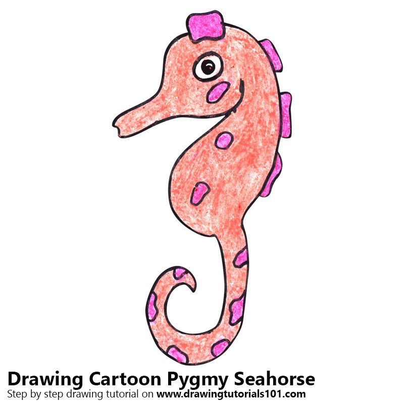 800x800 cartoon pygmy seahorse colored pencils