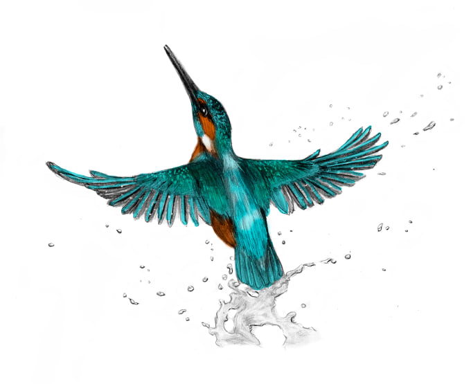 680x555 draw anything you imagine