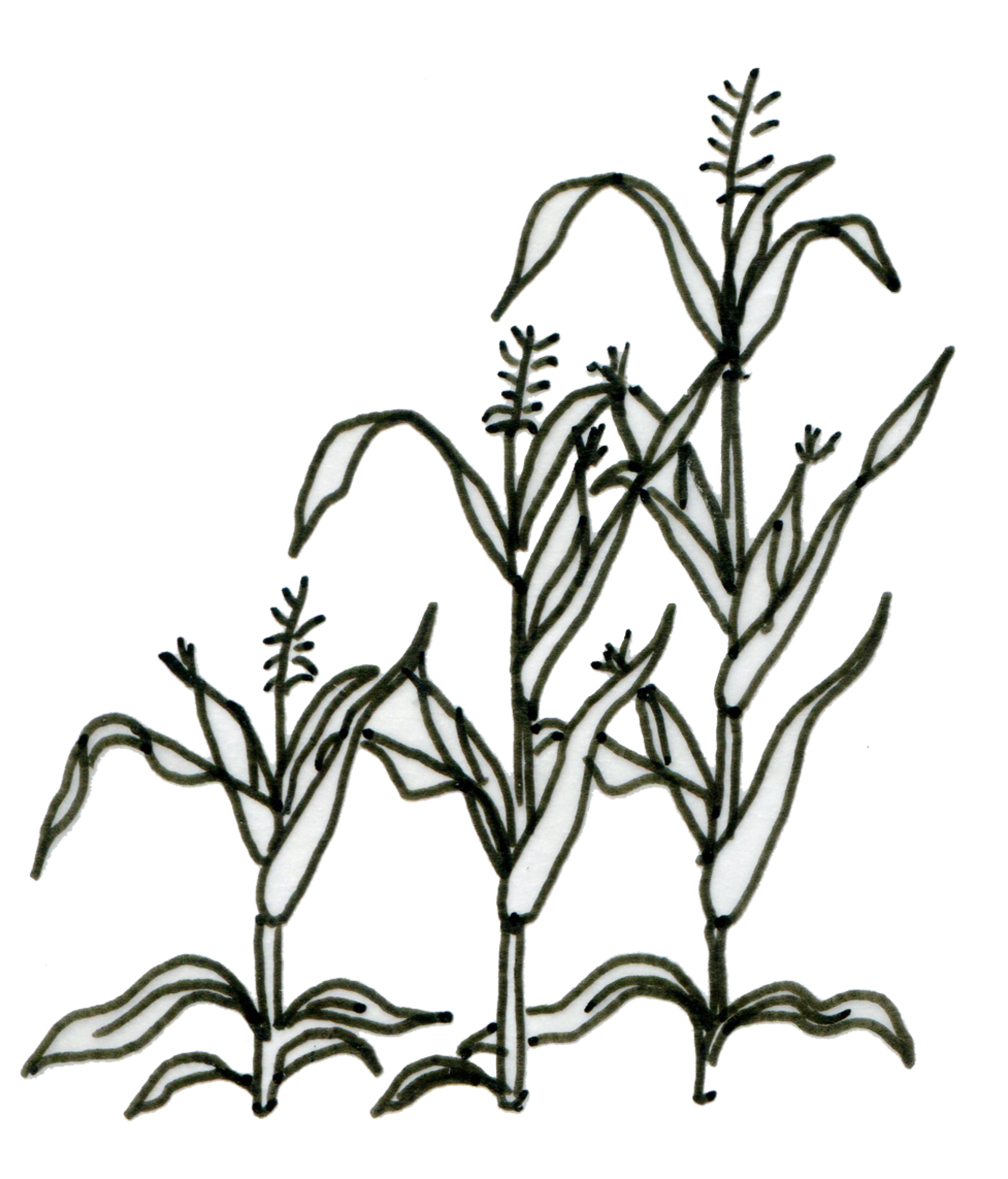 1920x2246 Impact Ambition Of Agrics