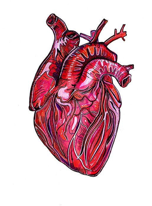 515x696 adam mcdade illustration the impact of the imprint of popular