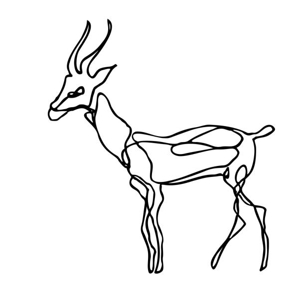 612x612 Collection Of Free Impalla Clipart Line Download On Ui Ex