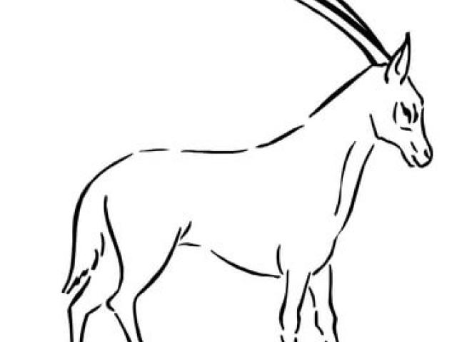 640x480 free impala clipart, download free clip art