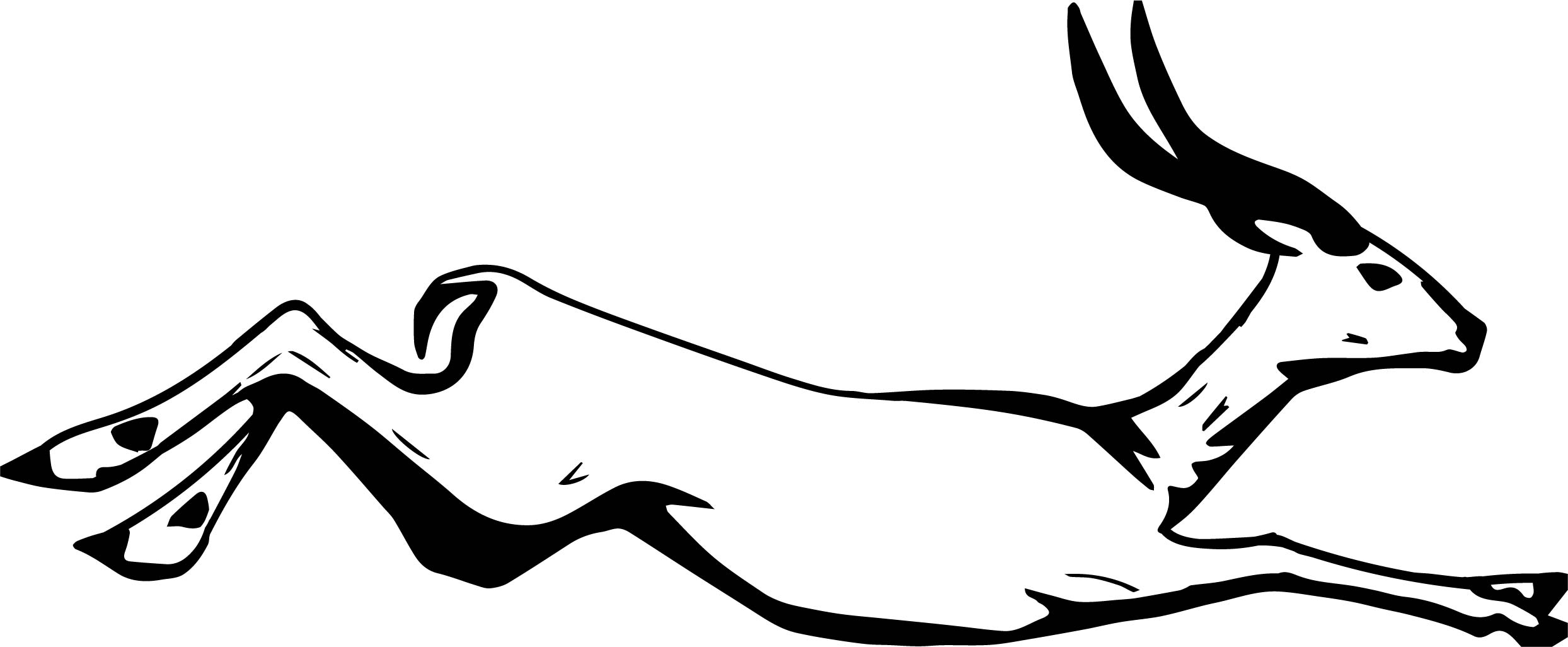 2488x1026 impala color illustration jumping horned antelope coloring