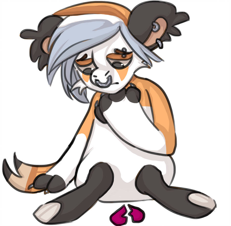 903x885 Impossible Year