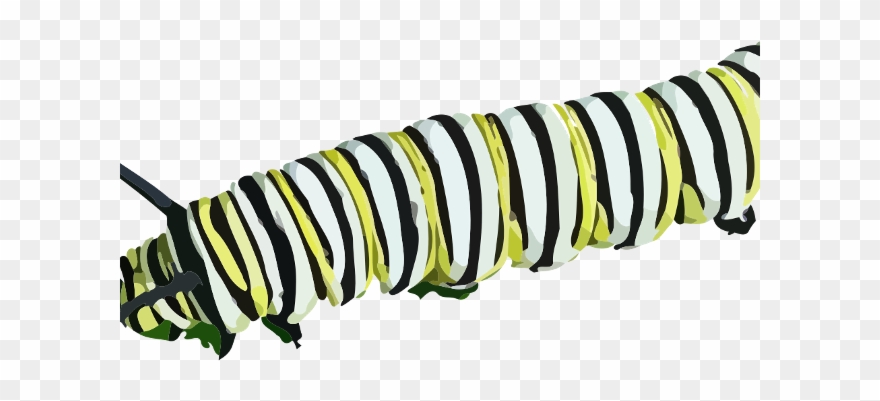 880x401 Inchworm Clipart Butterfly Caterpillar