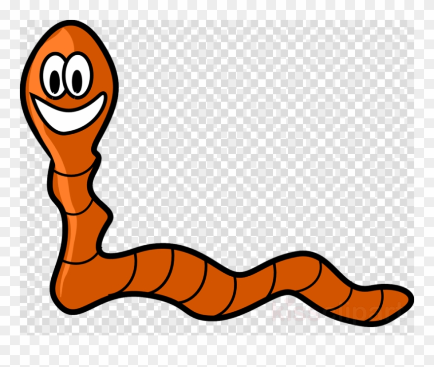880x744 Transparent Background Worms Clipart Worm Clip Art