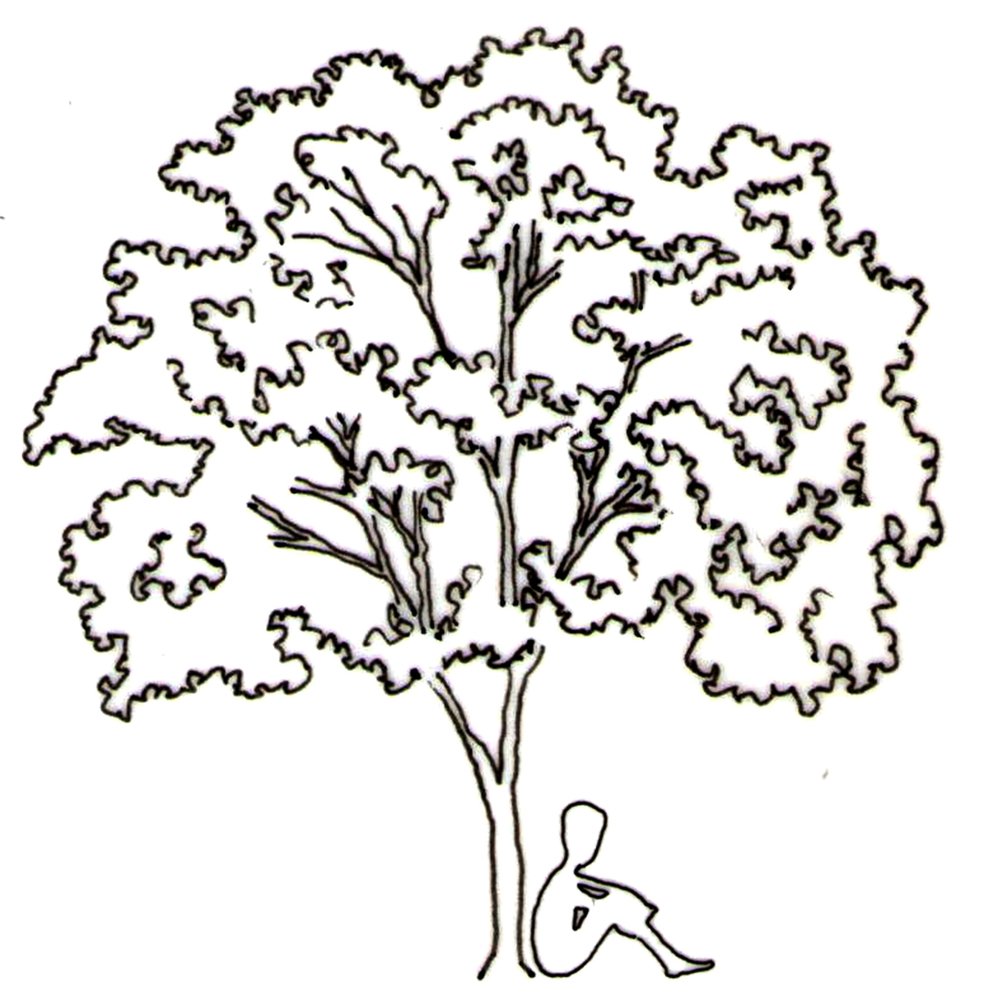 1000x997 Memorial Detail