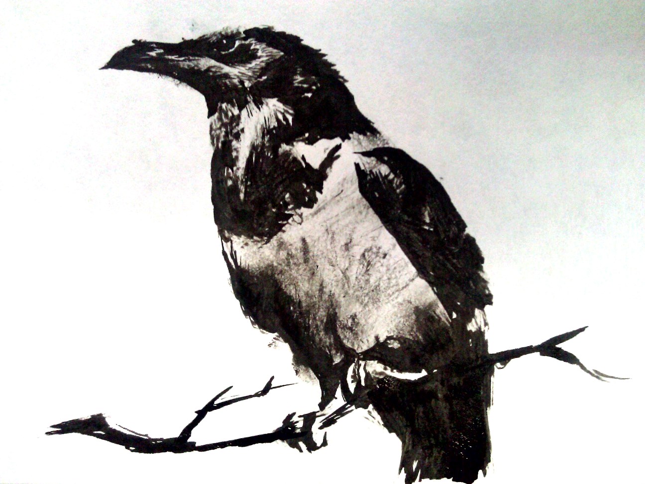 1296x972 Another Drawing In India Ink Artmkc