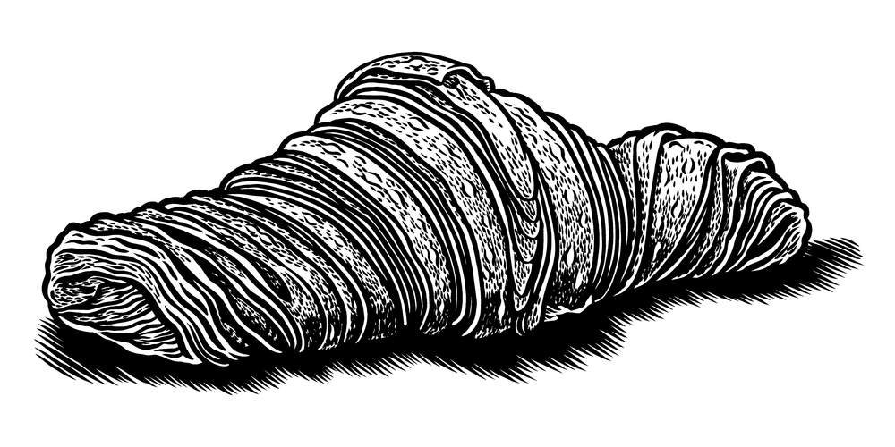 1000x500 Illustration The Studio Of Jp Flexner Philadelphia, Pa