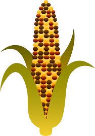 188x268 Image Result For Indian Corn Vectors Arthouse Harvest Corn