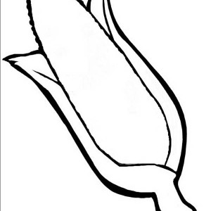 300x300 Indian Corn Coloring