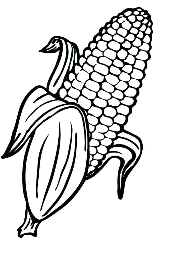 750x1000 Corn Drawing Outline For Free Download