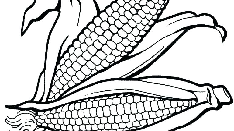770x430 Indian Corn Printable Coloring