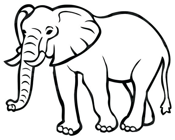 570x456 Elephant Outline Head Tattoo Image Drawing Cute
