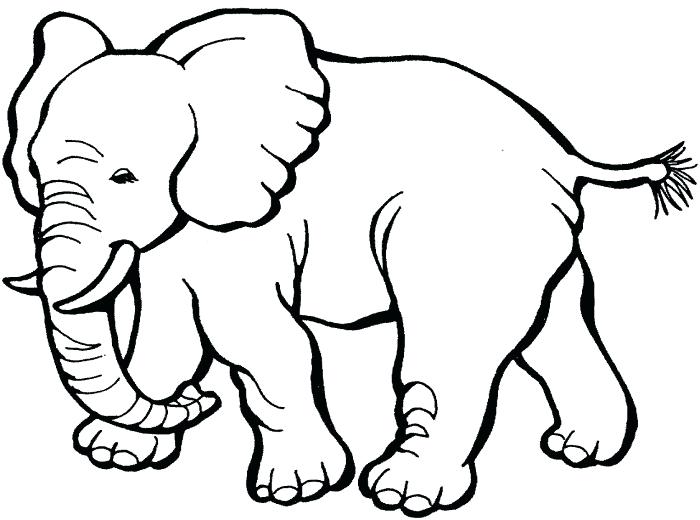 700x520 Elephant Drawing For Coloring