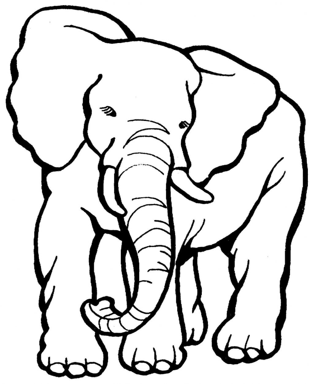 1024x1251 Coloring Pages Kids Elephant Coloring