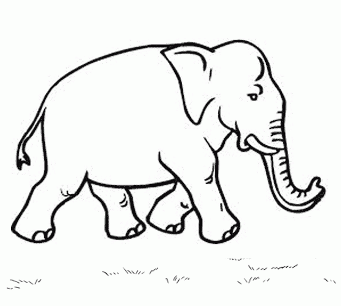 670x600 Elephant Drawing For Coloring Coloring Pages Elephant Drawing Kids