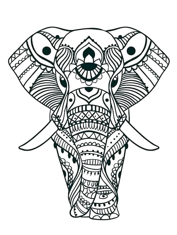736x980 Elephant Color Pages Print Elephant Coloring