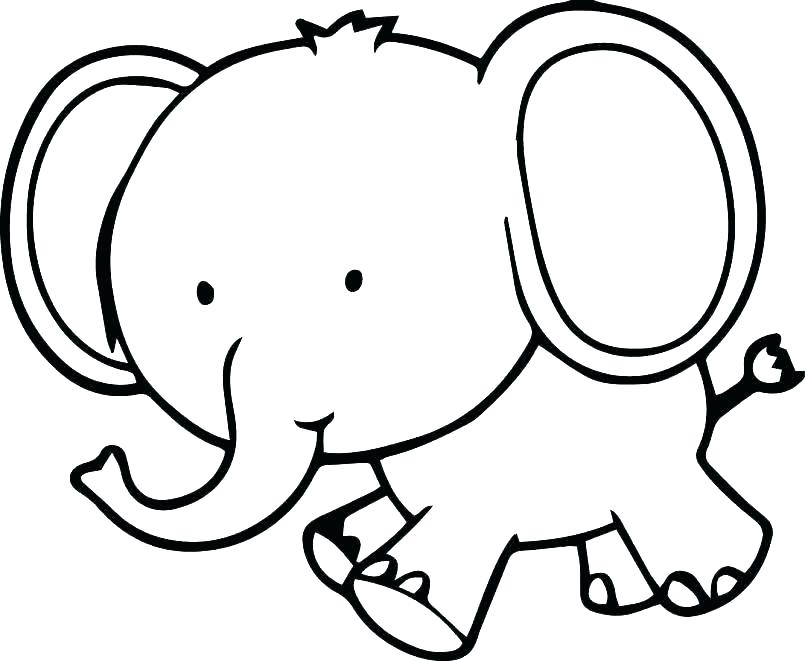 805x661 Elephant Pictures To Color