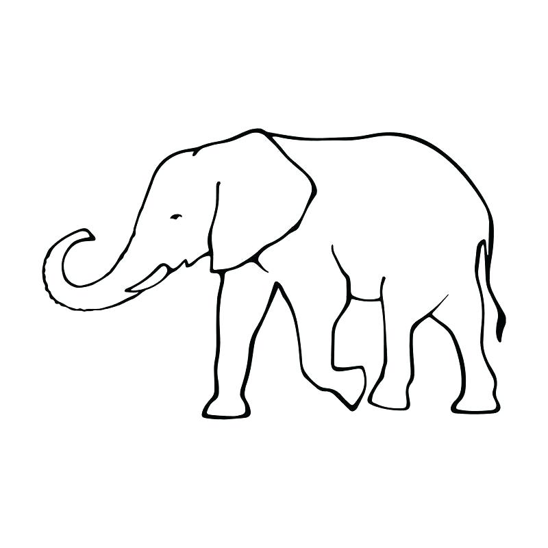 800x800 Elephant Outline Elephant Outline Illustration Outline Elephant