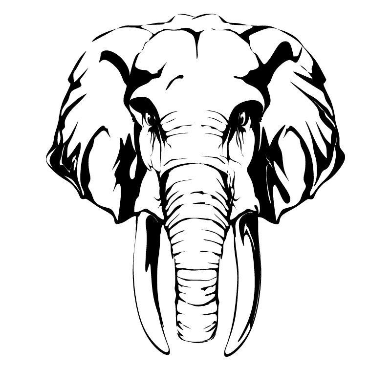 800x800 Indian Elephant Silhouette Clip Art Black And White Ideas