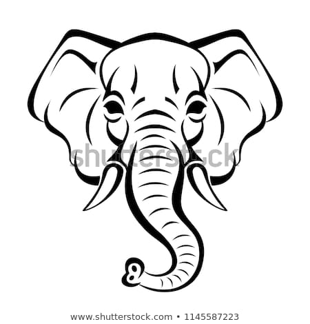 450x470 Huge Collection Of 'elephants Face Drawing' Download More Than